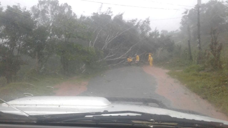 San Carlos reporta fuertes lluvias con ráfagas de vientos