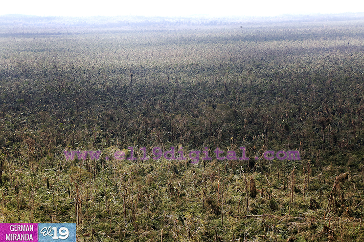 Comisión especial sobrevuela y visita zonas afectadas por Otto para evaluar afectaciones (+FOTOS)