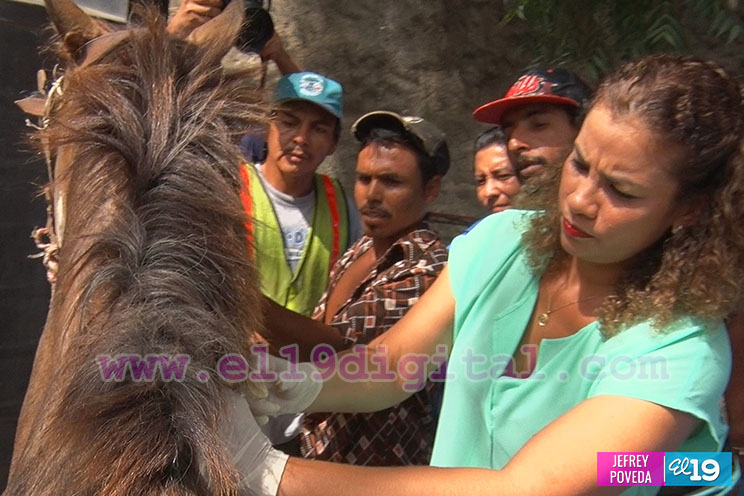 ALMA lanza campaña “Yo no ensucio Managua, utilizo los contenedores”
