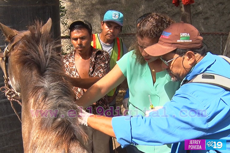 ALMA lanza campaña “Yo no ensucio Managua, utilizo los contenedores”