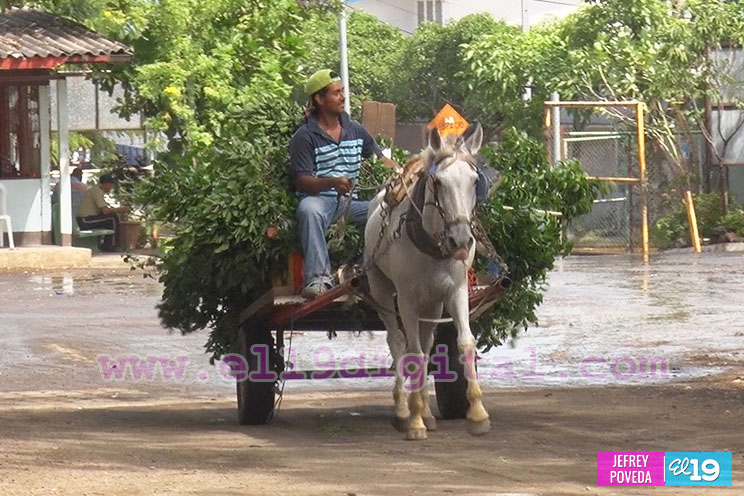 ALMA lanza campaña “Yo no ensucio Managua, utilizo los contenedores”