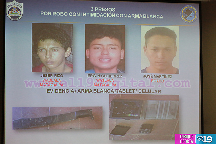 Policía Nacional intensifica lucha en el campo contra abastecedores de droga