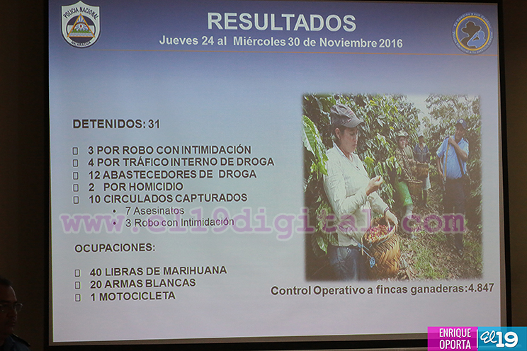 Policía Nacional intensifica lucha en el campo contra abastecedores de droga