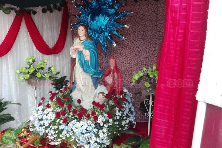 Preparan altares a la Purísima