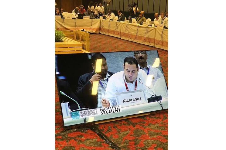 Nicaragua interviene en XIII Reunión de Alto Nivel de la Conferencia de Biodiversidad Biológica (COP 13)