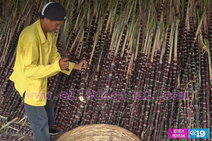 Comerciantes reportan buenas ventas con motivo de la Gritería
