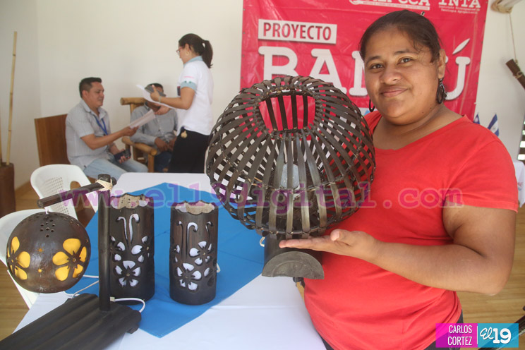 Mefcca y Taiwán anuncian próxima publicación de Guía del Bambú