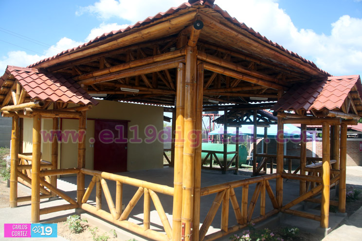Mefcca y Taiwán anuncian próxima publicación de Guía del Bambú