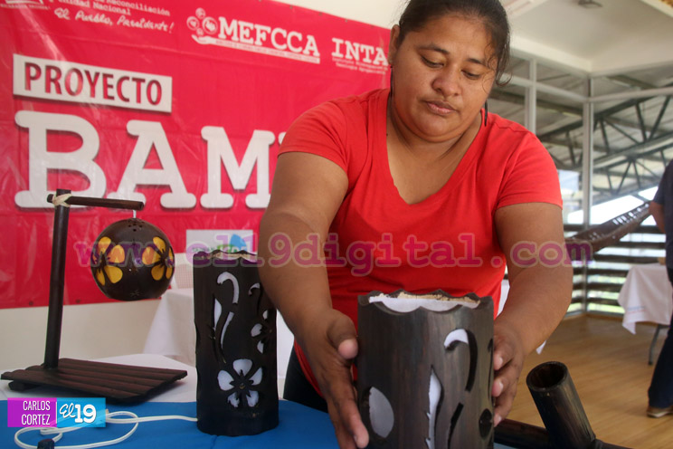 Mefcca y Taiwán anuncian próxima publicación de Guía del Bambú