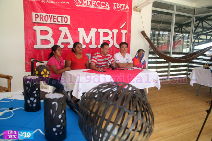 Mefcca y Taiwán anuncian próxima publicación de Guía del Bambú