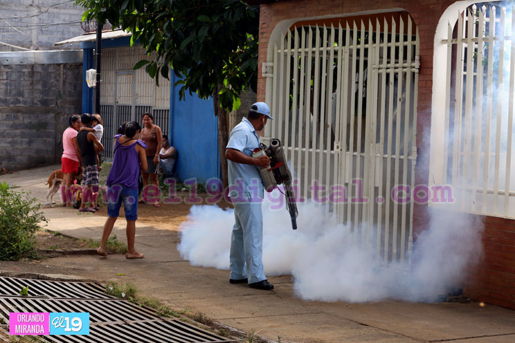 Barrio 14 de Junio arrecia la limpieza para evitar epidemias