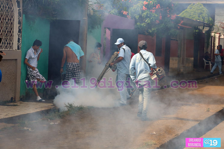 Barrio 14 de Junio arrecia la limpieza para evitar epidemias