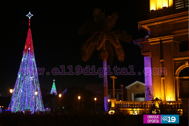 Encienden el Árbol Navideño más grande de Nicaragua