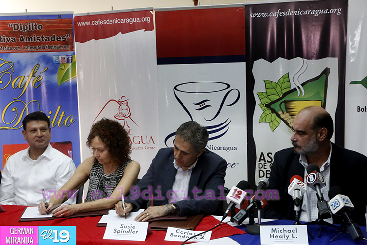 Seleccionarán el mejor café de Nicaragua en XIV edición de la Taza de la Excelencia 