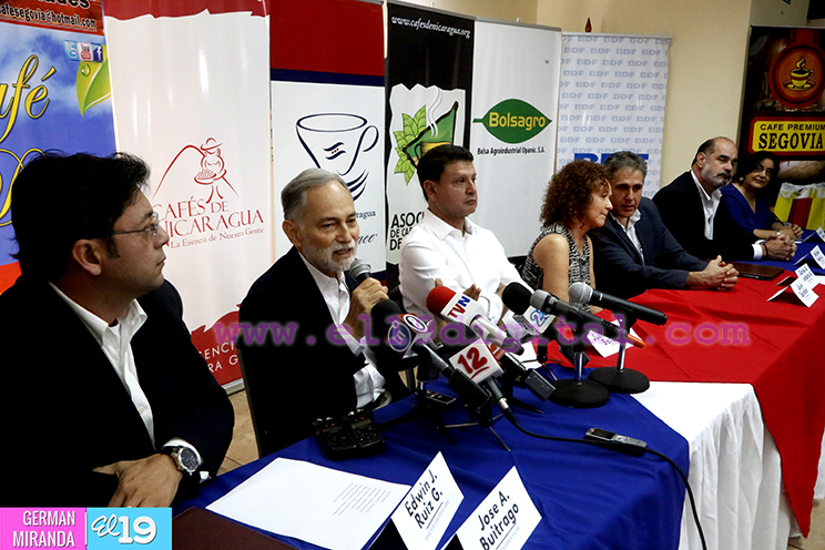Seleccionarán el mejor café de Nicaragua en XIV edición de la Taza de la Excelencia 