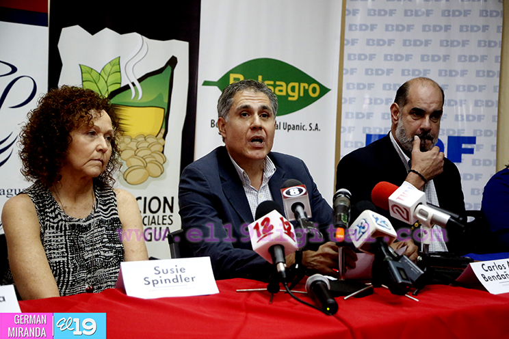 Seleccionarán el mejor café de Nicaragua en XIV edición de la Taza de la Excelencia 
