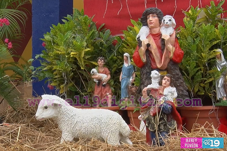 Nacimientos en la Avenida de Bolívar a Chávez casi listos