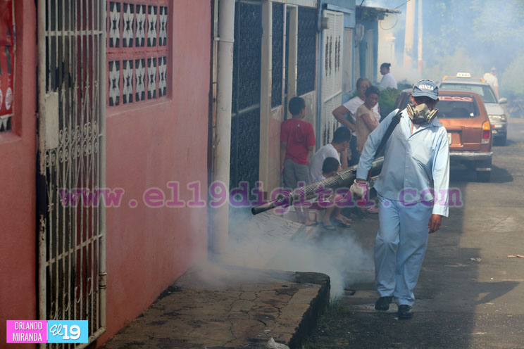 Minsa y familias de Unidad de Propósito combaten las epidemias