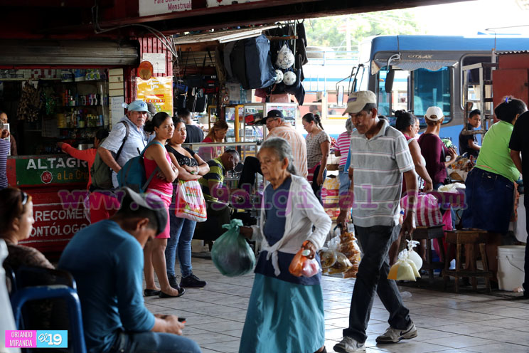Cooperativas de transporte interdepartamental trabajan con normalidad