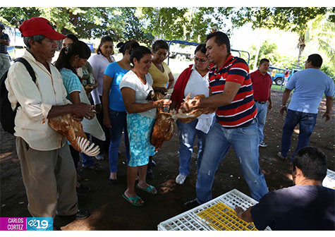 Gobierno Sandinista entrega bonos productivos en Managua