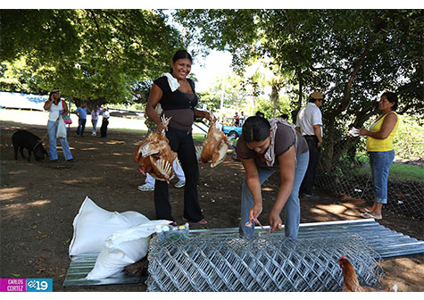 Gobierno Sandinista entrega bonos productivos en Managua