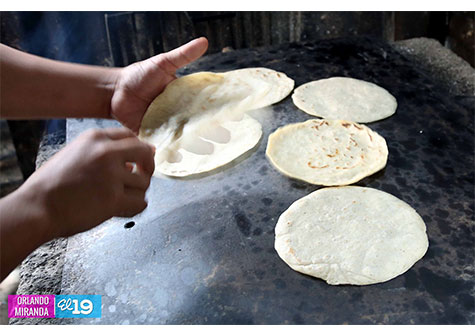 Matagalpa celebrará Feria Nacional del Maíz