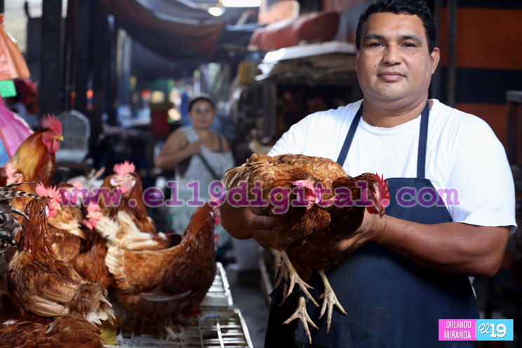 ¿Dónde encontrar lo mejor para preparar su gallina rellena este fin de año?