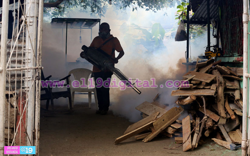 Jornadas de fumigación no se interrumpen en Managua