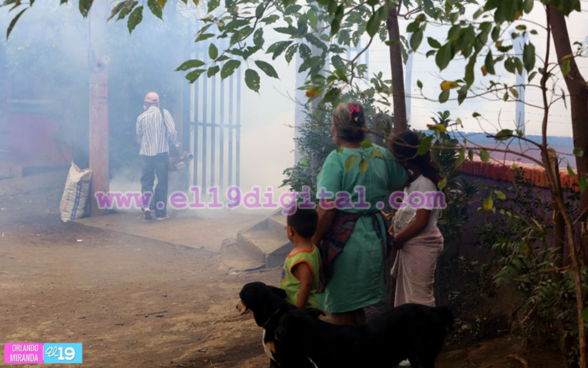 Jornadas de fumigación no se interrumpen en Managua