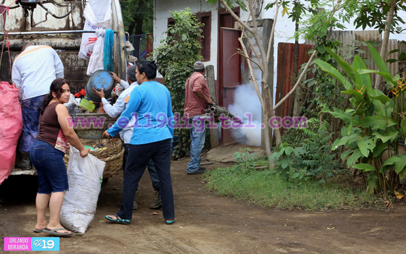 Jornadas de fumigación no se interrumpen en Managua