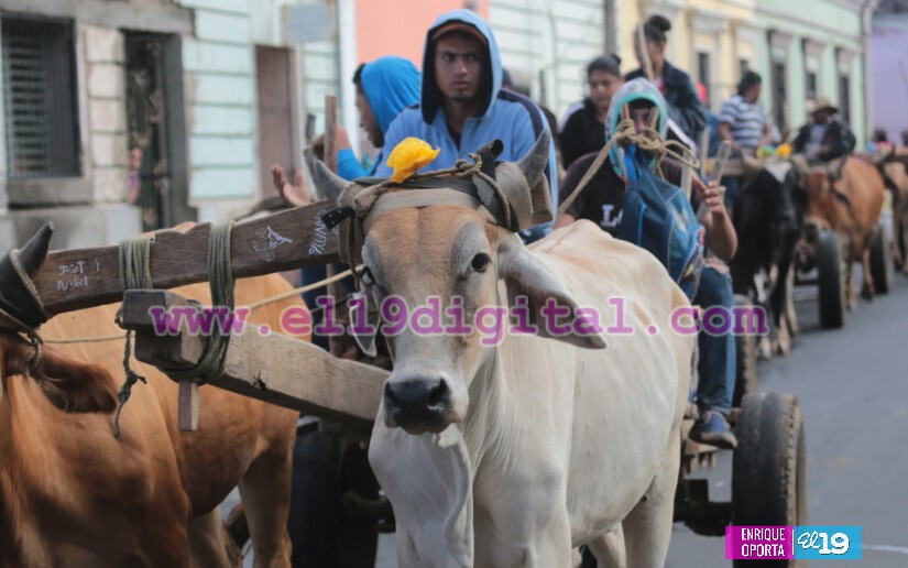 Diriamba vive tradicional tope de carretas