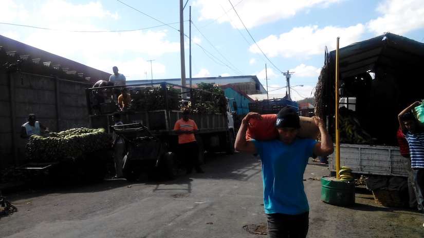 Piden a la Alcaldía ponga mano dura contra dueño de predio baldío en el Oriental