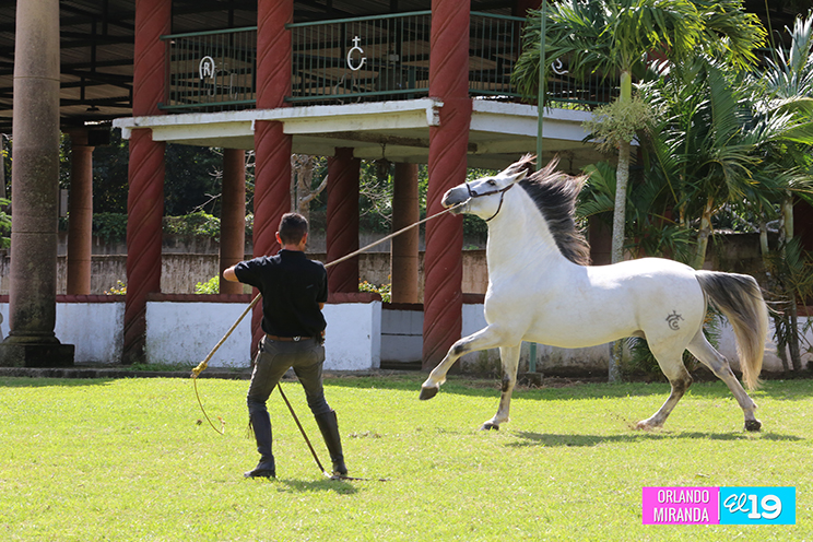 Majaloba, la casa del caballo español en Nicaragua