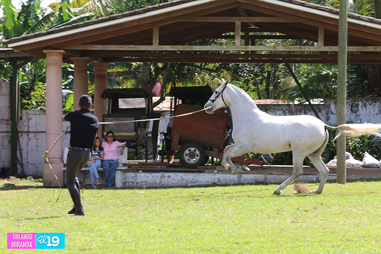 Majaloba, la casa del caballo español en Nicaragua