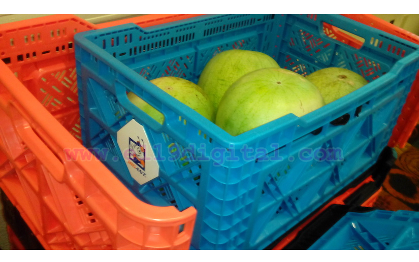 Conozca el novedoso empaque que garantizará calidad en los productos agrícolas 