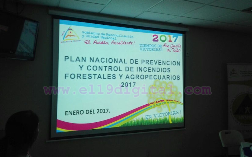 Gobierno enfatizará en la detección rápida para evitar incendios