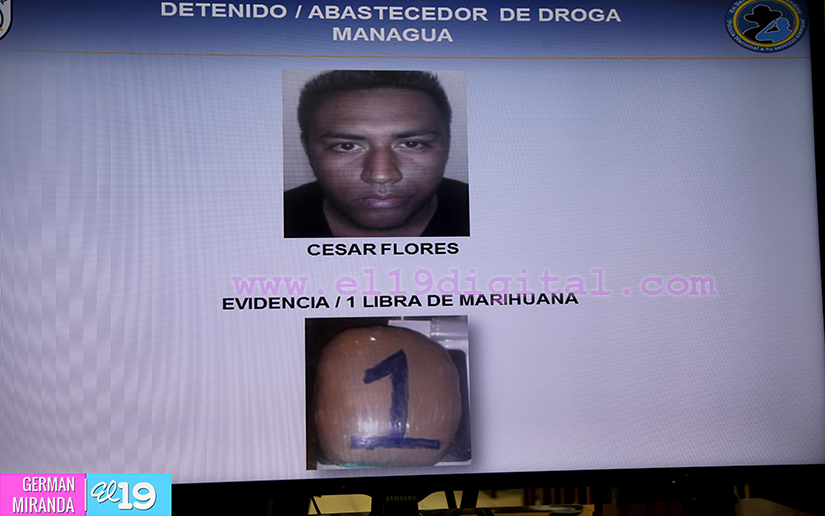Policía incauta 43 libras de marihuana