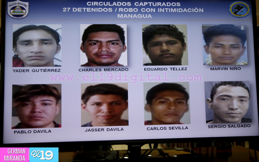Policía incauta 43 libras de marihuana