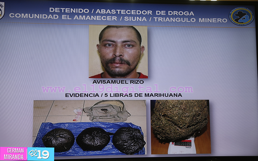 Policía incauta 43 libras de marihuana