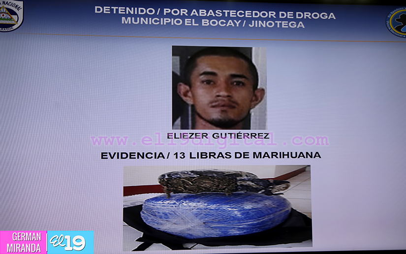 Policía incauta 43 libras de marihuana