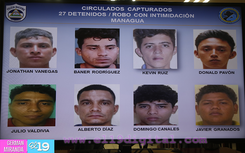 Policía incauta 43 libras de marihuana