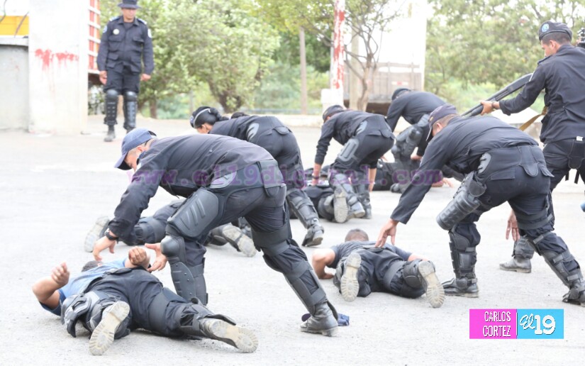 Preparación de las Fuerzas Policiales garantiza la seguridad de las familias