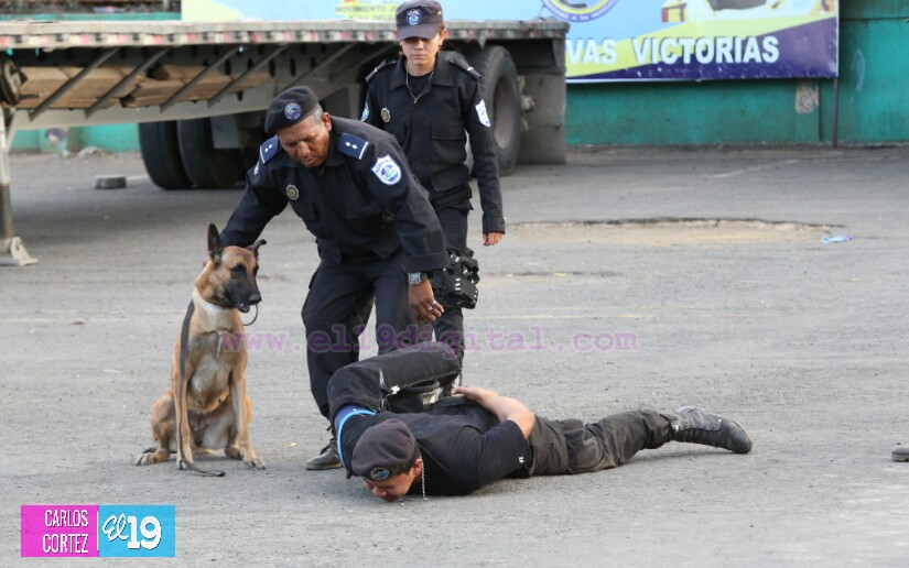 Preparación de las Fuerzas Policiales garantiza la seguridad de las familias