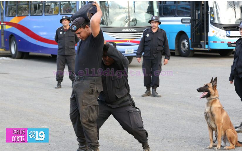 Preparación de las Fuerzas Policiales garantiza la seguridad de las familias