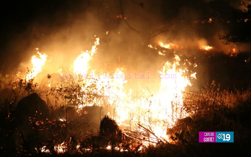 Fuerte fuego forestal en las cercanías de la Cuesta El Coyol