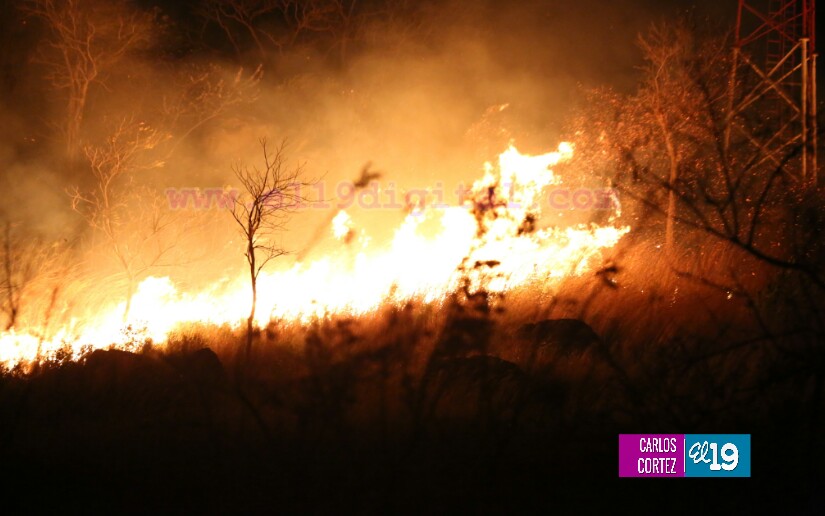 Fuerte fuego forestal en las cercanías de la Cuesta El Coyol