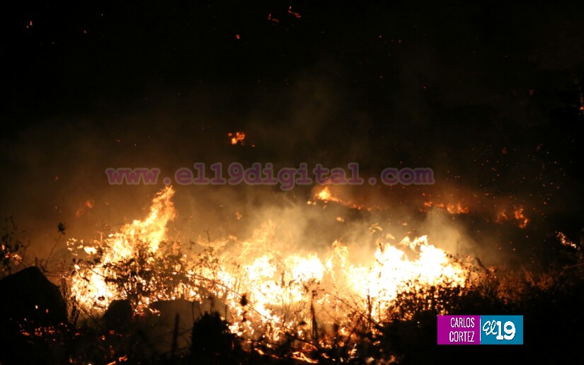 Fuerte fuego forestal en las cercanías de la Cuesta El Coyol