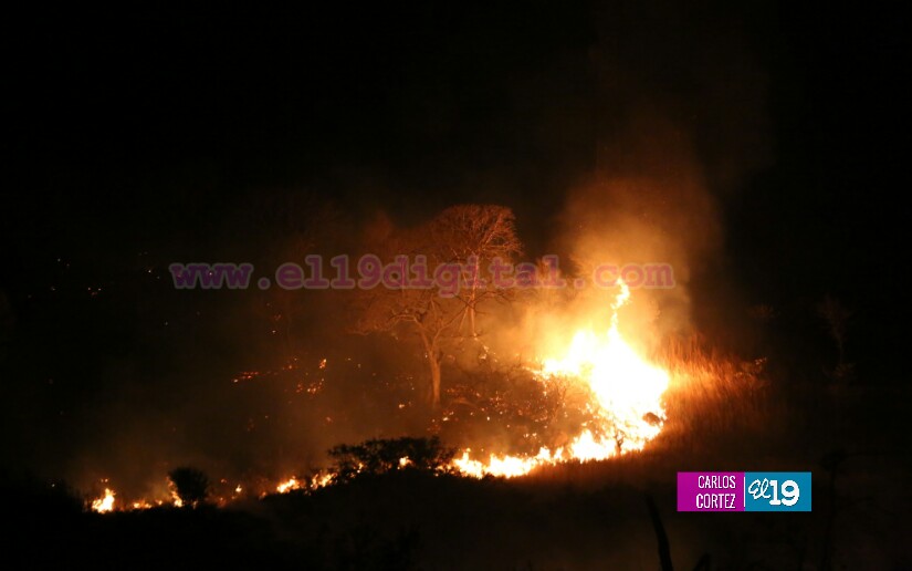Fuerte fuego forestal en las cercanías de la Cuesta El Coyol