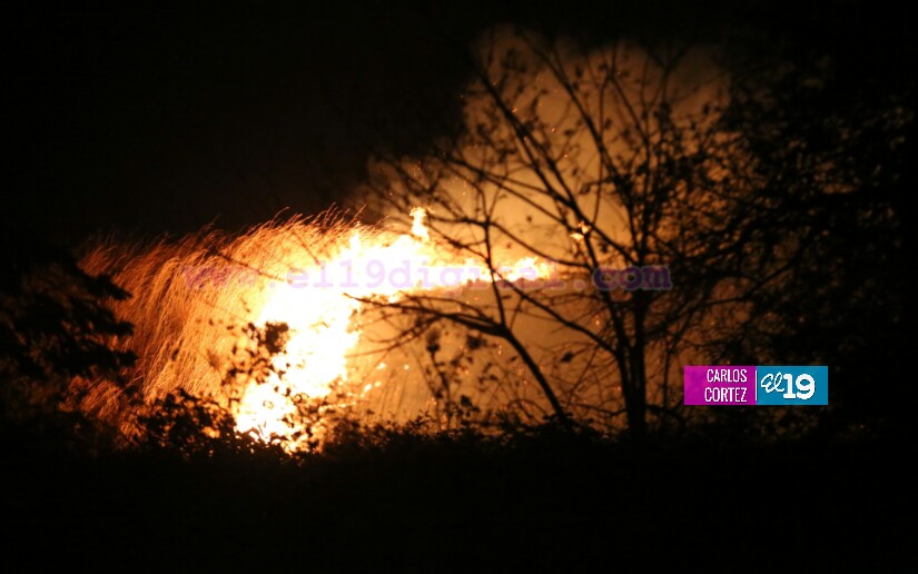 Fuerte fuego forestal en las cercanías de la Cuesta El Coyol