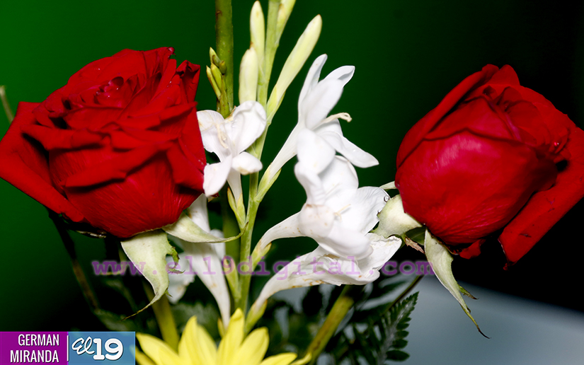 Chocolates, Flores y Manualidades para enamorar este 14 de febrero 